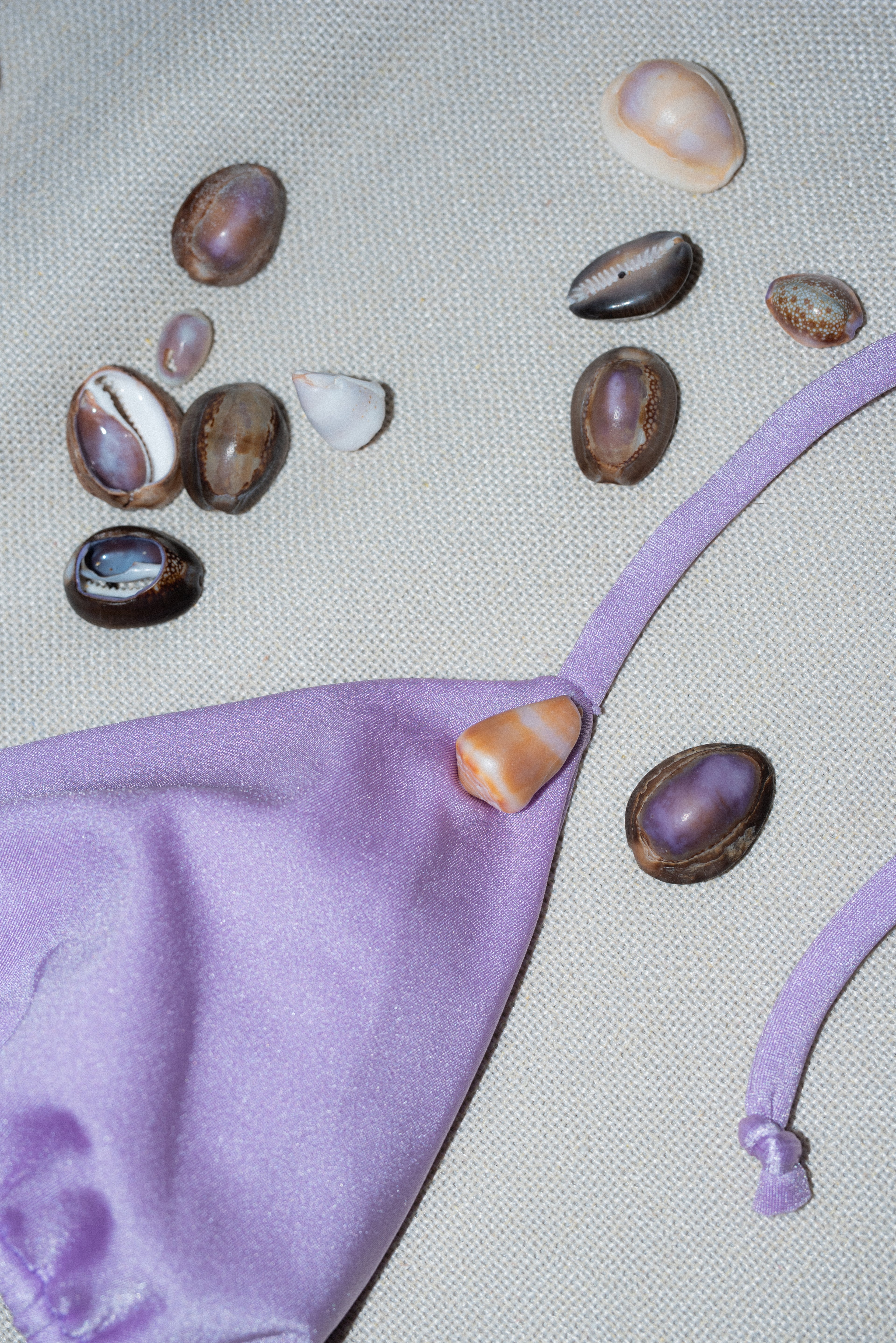 Lilac Bikini Seashell  Set- S
