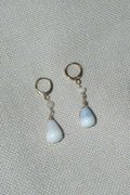 Hawaiian shell earrings